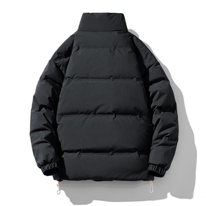 2024 冬季新款2211款立体剪裁50%灰鸭绒羽绒服 P130图片