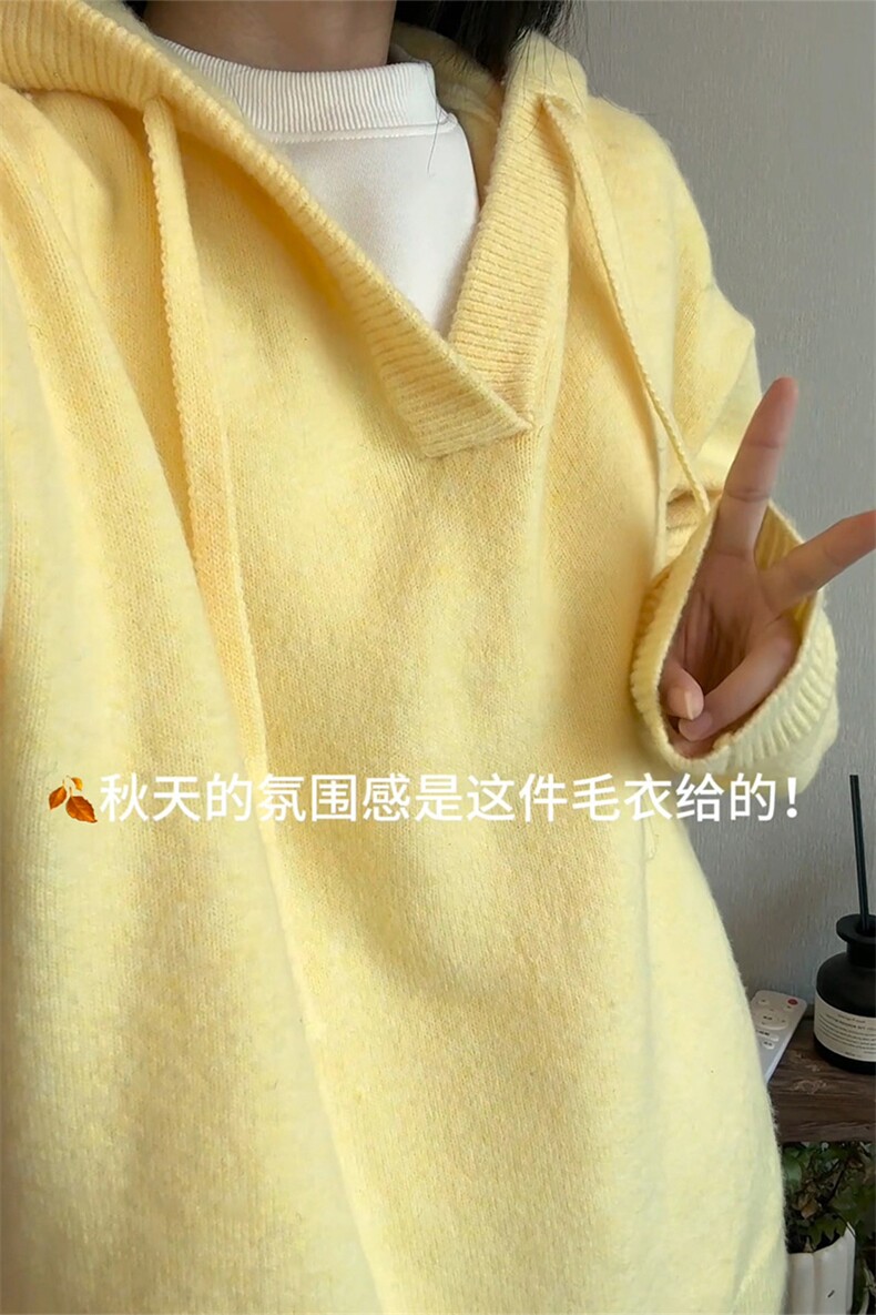 连帽针织衫情侣港风氛围感毛衣帽衫外套男女款5Q1135-TP5598,男装针织衫/毛衣,电商A102