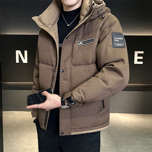 标90白鸭绒男装羽绒服连帽款外套C317-Y865-P255图片