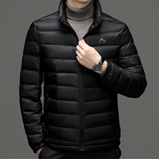 中年男士立领保暖羽绒服冬季新款商务休闲加厚爸爸装白鸭绒外套，男装羽绒服，电商B212（原钱塘6029）