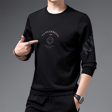 SA9618钱塘2020-2冬季圆领厚款时尚休闲简约中青年男士卫衣P65，男装卫衣，钱塘207-2