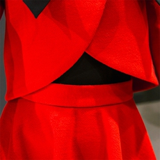 2021年秋季长袖短裙立领中腰褶皱蝴蝶结套装/套裙，女装套装/套裙，布衣桑