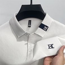 时尚商务休闲体恤衫打底上衣长袖t恤男翻领纯棉中青年男士polo衫，男装T恤，电商B212（原钱塘6029）