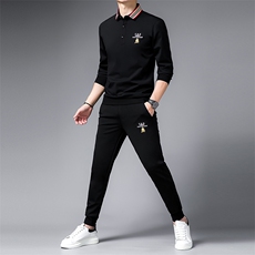 SA9666-2钱塘2020-2中年男士百搭冬季厚款简约商务休闲套装P152，男装休闲套装，钱塘207-2