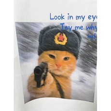 网图有货lookinmyeyes猫咪印花短袖t恤男女情侣上衣A681-P25，男装T恤，星座1505