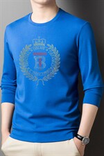 新款男长袖印花上衣2023春秋季宽松加厚圆领卫衣中年男士打底衫，男装卫衣，电商B212（原钱塘6029）