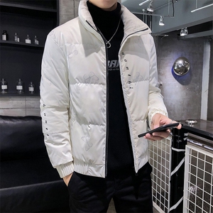 312A-001-P175控268  2025冬季新款蝴蝶图案羽绒服男80%白鸭绒A图片
