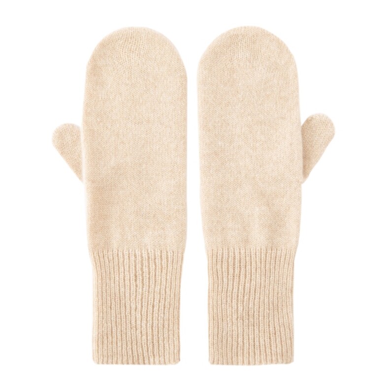 2025年秋季新款女士百搭加厚保暖手套，手套，丽靓一衫