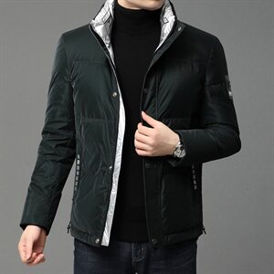 B811钱塘2020-1冬季男士羽绒服高端90白鸭绒P270图片