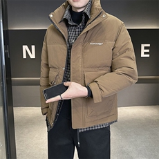 店主风2025年新款时尚立领假两件潮流保暖羽绒服男A236-G65-P215，男装羽绒服，电商A236