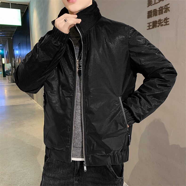 新款男士立领加厚保暖羽绒服冬季中青年男装白鸭绒立领潮流外套,男装羽绒服,电商B212（原钱塘6029）