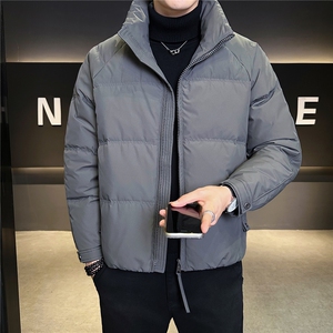 标50绒 立领男士羽绒服冬季2025新款加厚外套 A313-58030-P185图片
