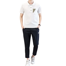 夏季棉麻套装男亚麻短袖t恤休闲半袖汉服中国风男装衣服TZ66-P45，男装T恤，星座509