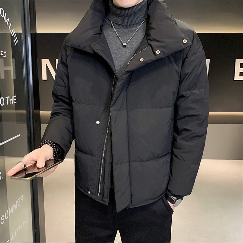 男士羽绒服冬季2025新款宽松立领加厚面包服外套A313-9988-P200,男装羽绒服,电商A313