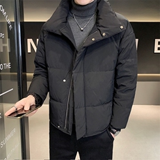 男士羽绒服冬季2025新款宽松立领加厚面包服外套A313-9988-P200，男装羽绒服，电商A313