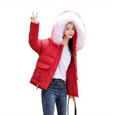 2020冬季新款时尚气质刺绣保暖舒适棉衣，女装棉衣/棉服，艾尚靓装