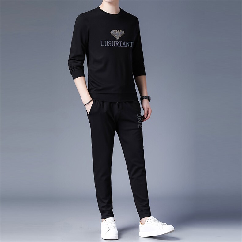 中老年运动套装男春秋季爸爸圆领卫衣中年运动服男士两件套长袖，男装休闲套装，电商B212（原钱塘6029）