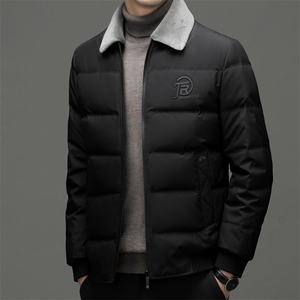 2023年新款羽绒服P265图片