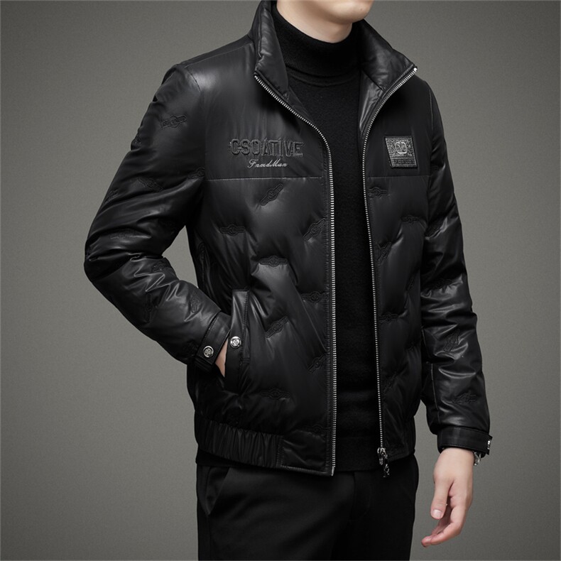 DJ22129钱塘2020-3冬季厚款时尚休闲简约立领中年男士羽绒服P350,男装羽绒服,钱塘207-3