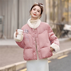 现货、现货、2025年冬季羽绒新中式刺绣短款羽绒服，女装羽绒服，艾仟回(原伊仟回)