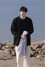 重磅300克卫衣男:表面棉底部聚酯纤维WY82070P38控58，男装卫衣，星座227-7