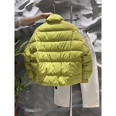 (网图)50白鸭绒276-318克大拉链设计感羽绒服313B-25900-P230，男装羽绒服，星座313B