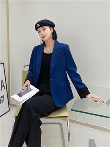 蓝典28009图片