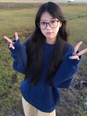 圆领针织麻花毛衣秋冬季宽松情侣打底衫潮流加厚长袖XM21P40特，男装T恤，电商D256