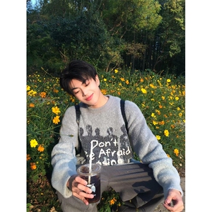 美式慵懒风字母套头男休闲人物毛衣软糯秋冬水貂毛针织衫 M8859图片