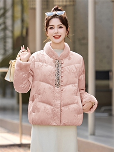 现货现货现货2025年冬季新中式G风刺绣羽绒服图片