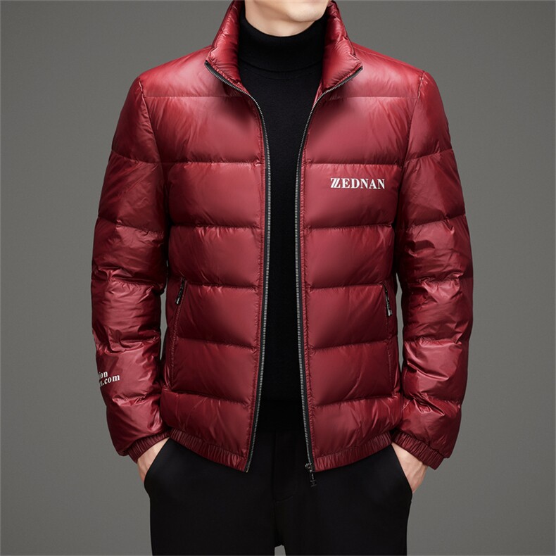 冬季白鸭绒加厚蓬松男羽绒服短款中青年休闲保暖简约防寒外套男装,男装羽绒服,钱塘6003（原4033）