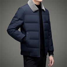 BAMJ-8915钱塘2020-2中年男士冬季厚款商务休闲翻领羽绒服P195，男装羽绒服，钱塘207-2