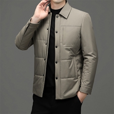 BF22912钱塘2020-2秋冬中老年男士商务休闲棉服百搭棉衣P157，男装棉衣，钱塘207-2