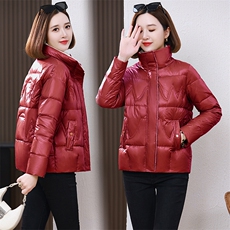 小个子短款保暖羽绒服女2023冬季新款简约百搭轻薄白鸭绒立领外套，女装棉衣/棉服，婷思杰（原婷想服饰）