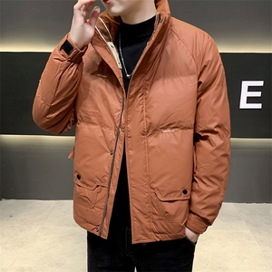 冬季白鸭绒羽绒服男韩版男士外套 门襟织带拼接YR605-P135图片