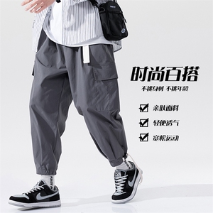 2023秋新款大码多口袋宽松休闲boy无影墙模特九分束脚裤K2832-P35图片