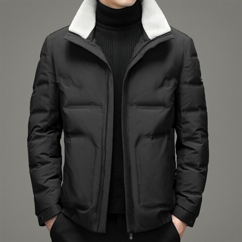 冬季新款纯色立领羽绒服休闲外套中年爸爸装上衣YYYR18-P290,男装羽绒服,电商B212（原钱塘6029）