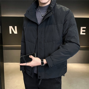 6808-M-3XL-P195标50绒店主风冬简约立领纯色拼皮休闲羽绒服男图片