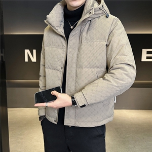 6629-L-4XL-P225标50绒店主风店主风男士常规休闲连帽羽绒服图片