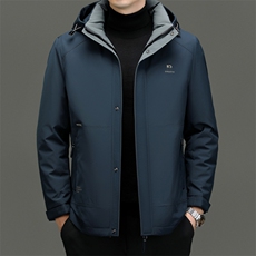 DF22441钱塘2020-2新款冬季时尚休闲有帽简约中年男士羽绒服P305，男装羽绒服，钱塘207-2