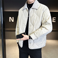 90新标2025冬季翻领简约休闲加厚保暖羽绒服外套X2519-P248，男装羽绒服，电商A413
