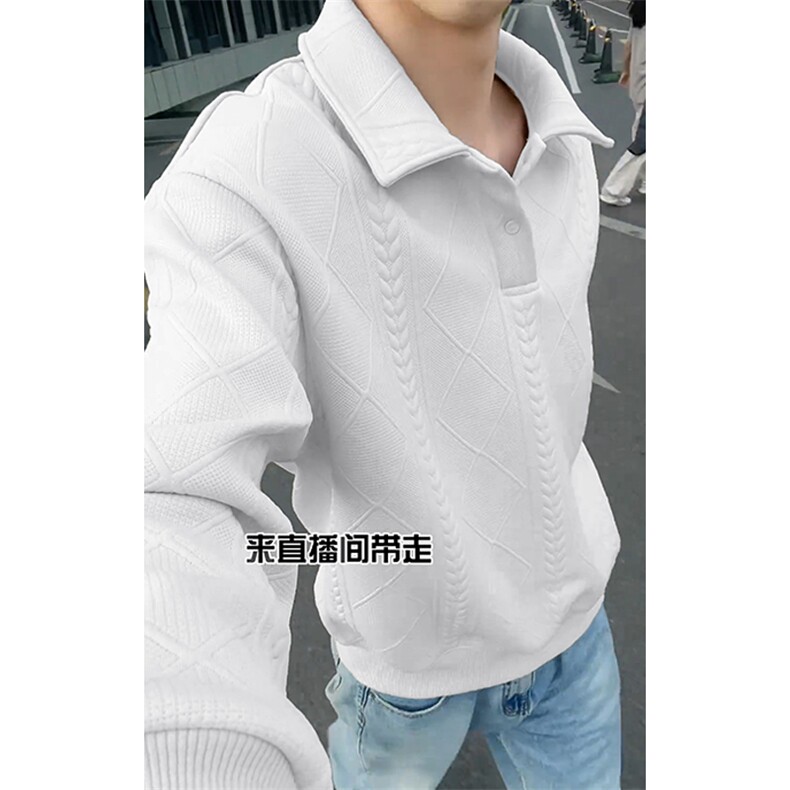 特批P38无差价秋新抖音大码宽松肌理感polo衫卫衣外套男W5022图片