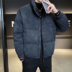 店主风2025年90白鸭绒时尚帅气保暖羽绒服男LMS2510-P300，男装羽绒服，电商D240-242