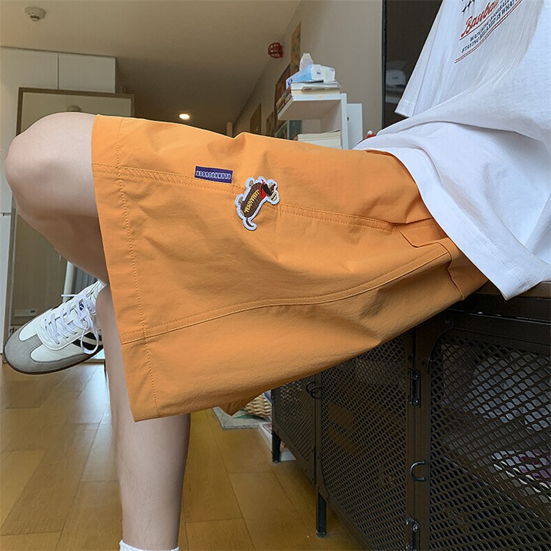 夏季腊肠狗标速干五分短裤民宿景 XZ604-DK231-特P25控48图片