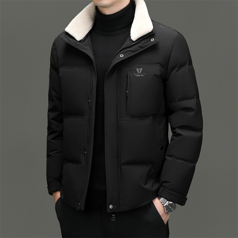 DF31826钱塘2020-2商务休闲立领百搭简约中年男士羽绒服P273,男装羽绒服,钱塘207-2