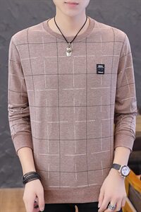 秋季长袖男彩棉薄款格子卫衣男t恤男时尚印花圆领套头粉9616P28图片