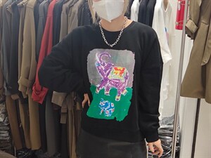 高品质小象卫衣图片