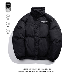 白鸭绒白底22冬季新款休闲百搭字母印花立领羽绒服YR225P195控258图片