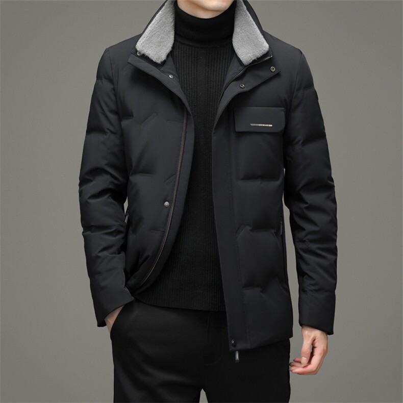 BZ2269钱塘2020-2秋冬新款中年男士立领羽绒服时尚休闲外套P215,男装羽绒服,钱塘207-2