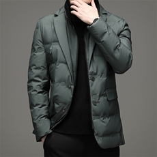 冬季新款立领羽绒服男常规外衣休闲保暖纯色羽绒外套HB9908-P225，男装羽绒服，电商B212（原钱塘6029）